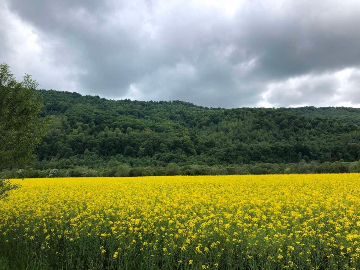 Апартаменти Олівія Skhidnytsia Esterno foto