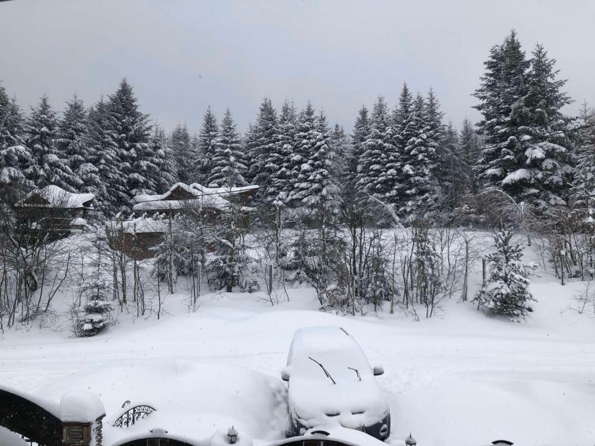 Апартаменти Олівія Skhidnytsia Esterno foto